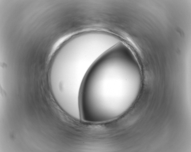 X0000091331320200708100955