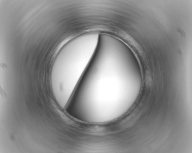 X0000091331321200708100955