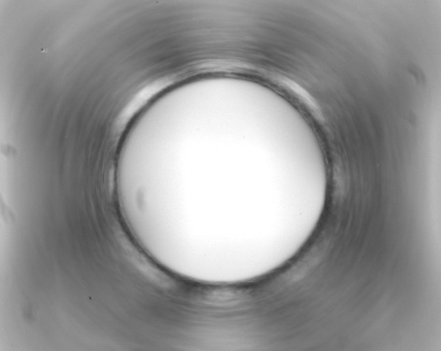X0000091331322200708100955