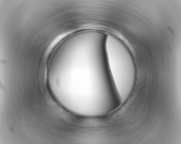 X0000091331323200708100955