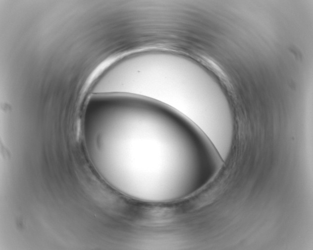 X0000091331324200708100955