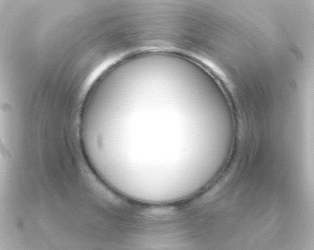 X0000091331325200708100955