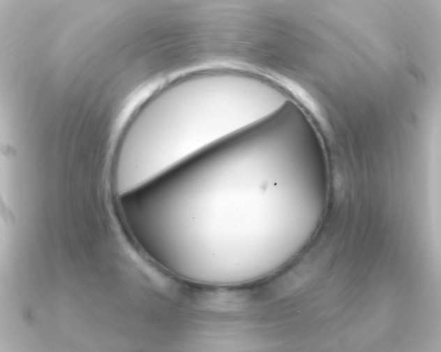 X0000091331327200708100955