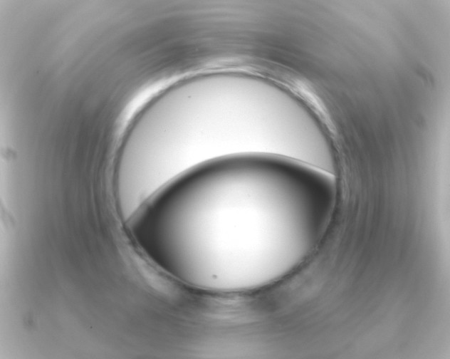 X0000091331328200708100955