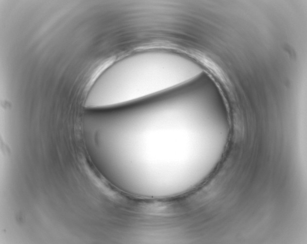 X0000091331329200708100955