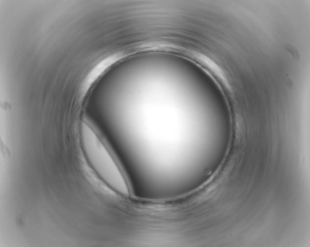 X0000091331330200708100955
