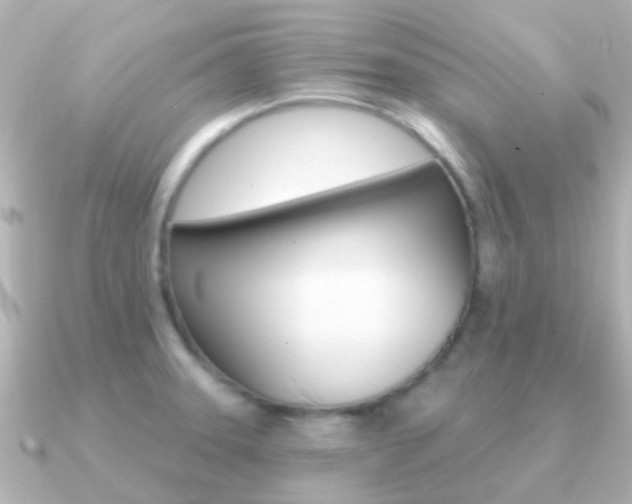 X0000091331331200708100955