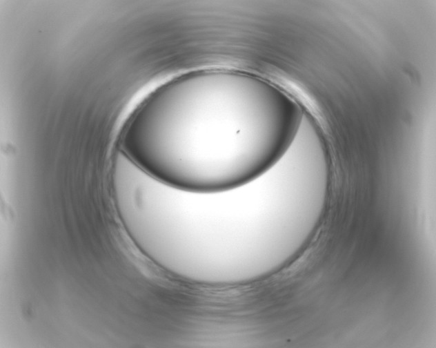 X0000091331332200708100955