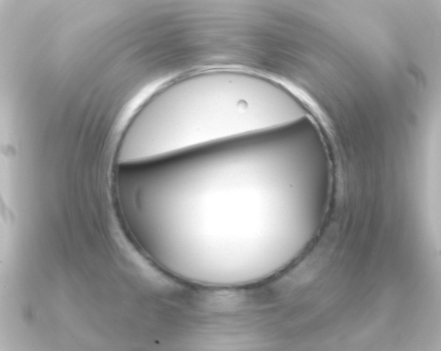 X0000091331333200708100955