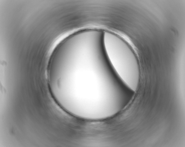 X0000091331335200708100955