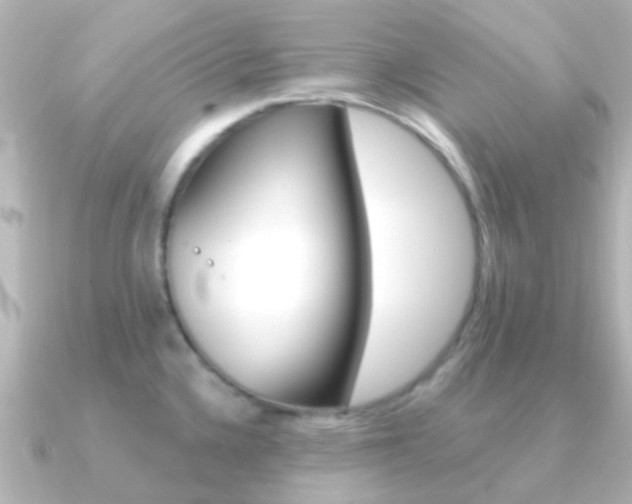 X0000091331336200708100955