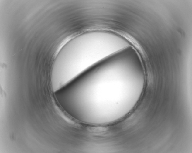 X0000091331337200708100955