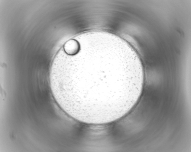 X0000091331338200708100955