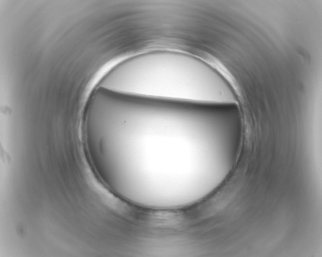 X0000091331339200708100955