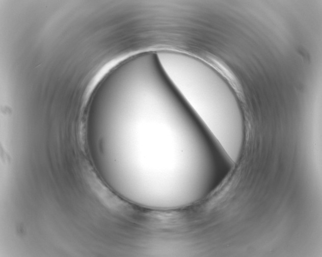 X0000091331340200708100955