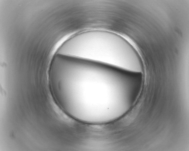 X0000091331341200708100955
