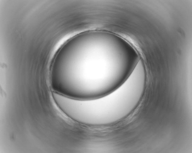 X0000091331342200708100955