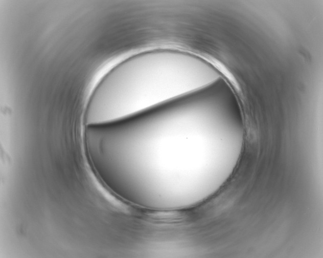 X0000091331343200708100955