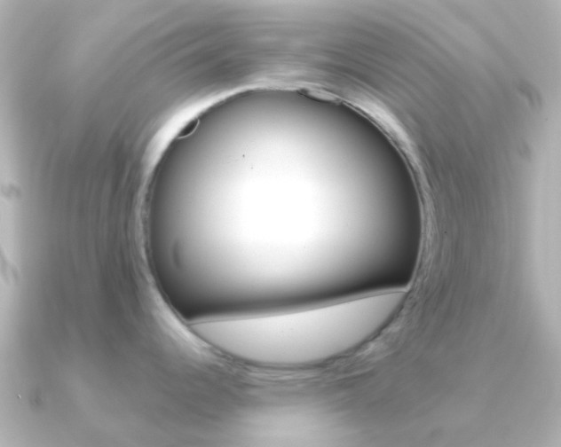 X0000091331344200708100955