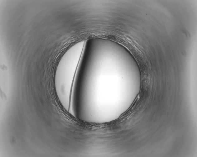 X0000091331345200708100954