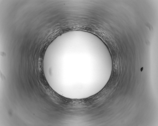 X0000091331346200708100954