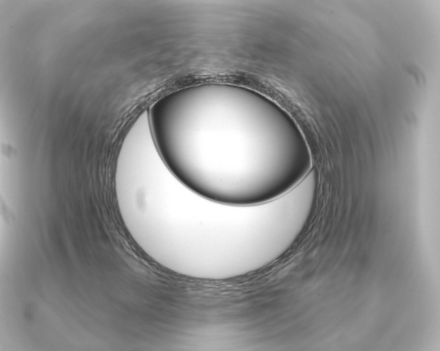 X0000091331348200708100954