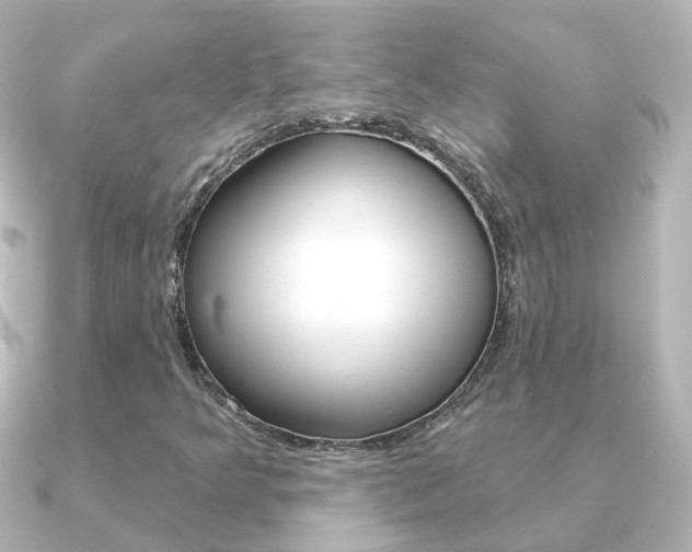 X0000091331349200708100954