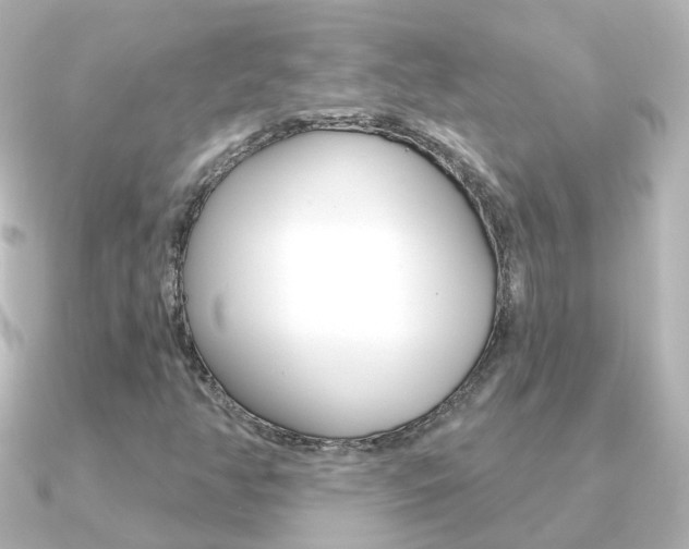 X0000091331350200708100954