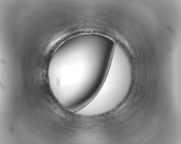 X0000091331352200708100954