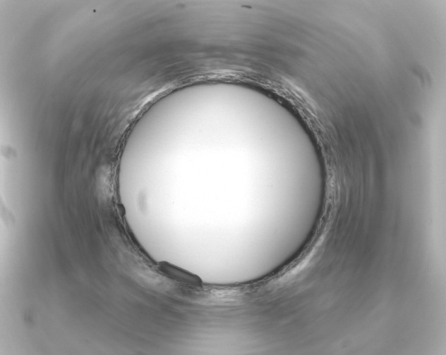 X0000091331353200708100954