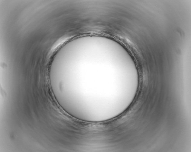 X0000091331354200708100954