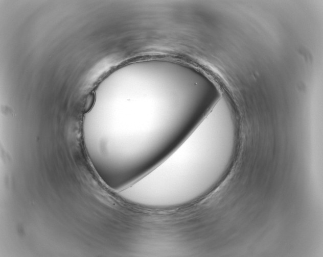 X0000091331355200708100954