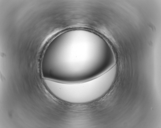 X0000091331356200708100954