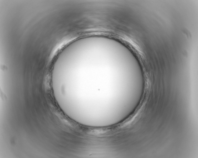X0000091331357200708100954