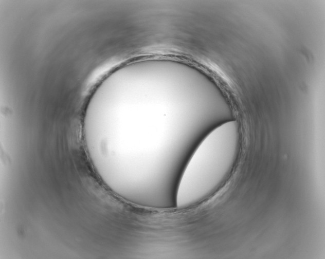 X0000091331358200708100954