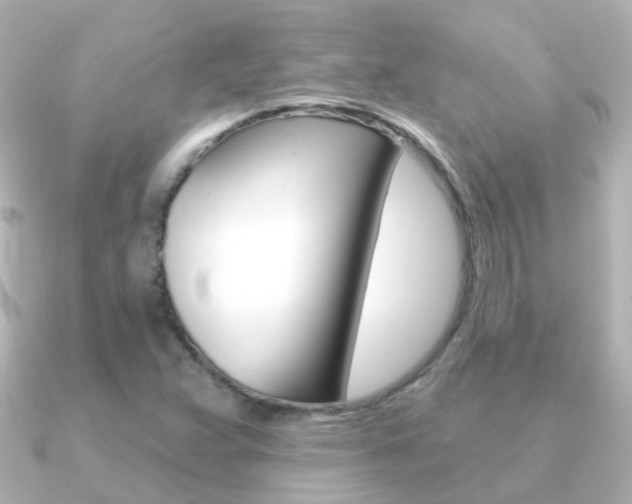 X0000091331359200708100954