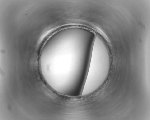 X0000091331360200708100954