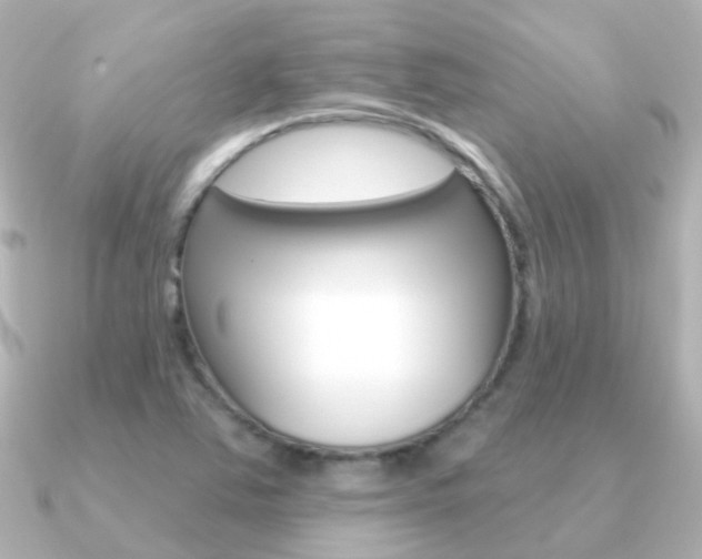 X0000091331363200708100954