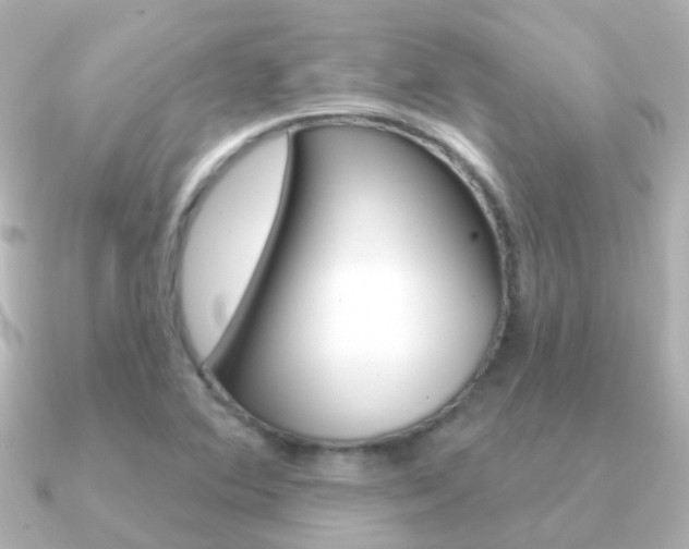 X0000091331364200708100954