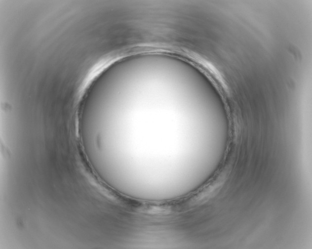 X0000091331365200708100954