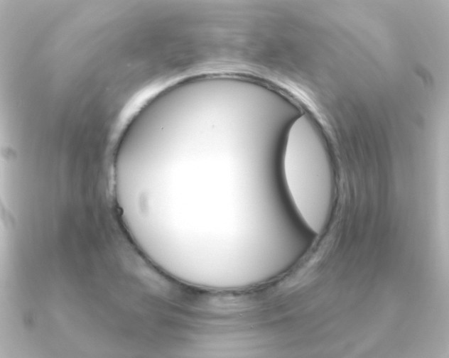 X0000091331366200708100954