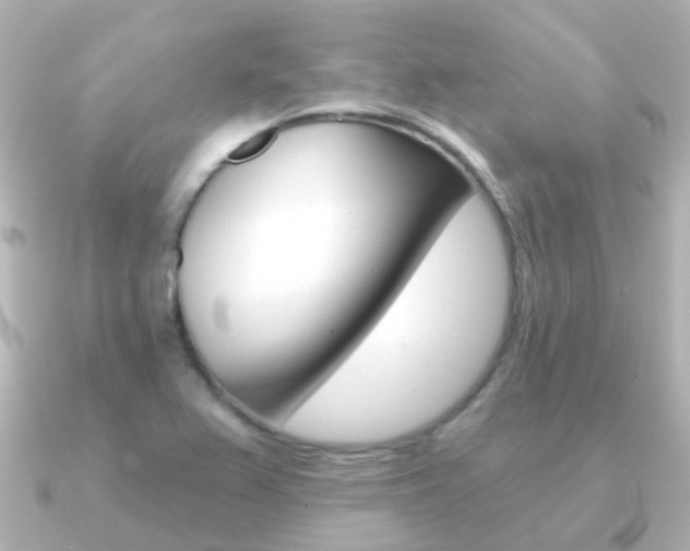 X0000091331367200708100954