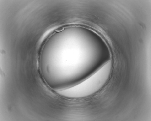 X0000091331368200708100954