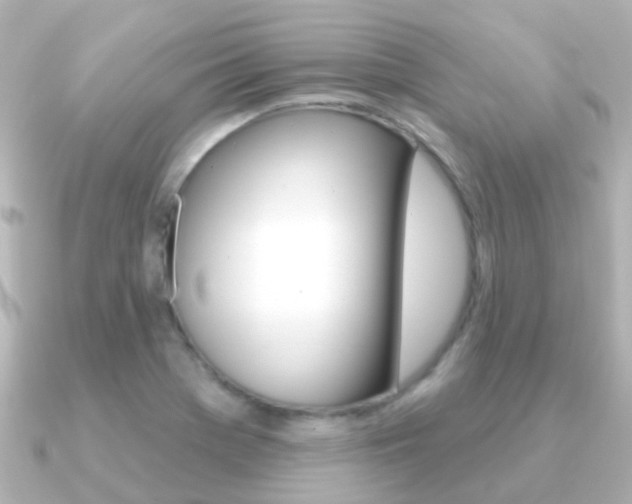 X0000091331369200708100954