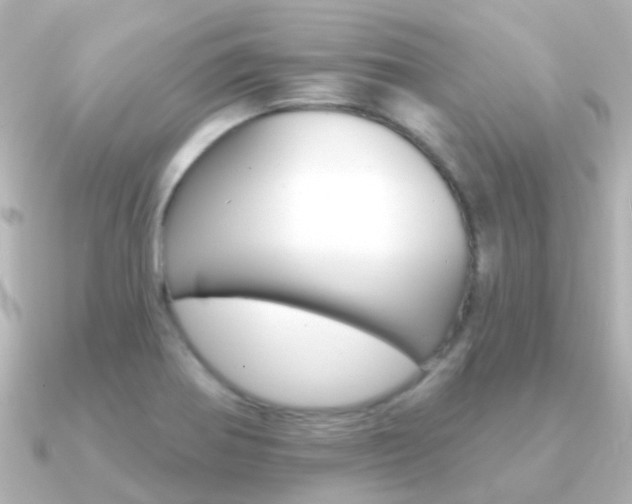 X0000091331370200708100954