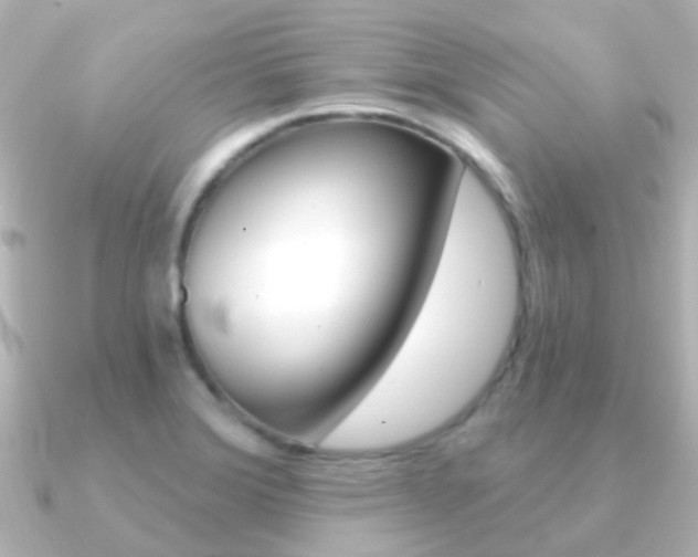 X0000091331372200708100954