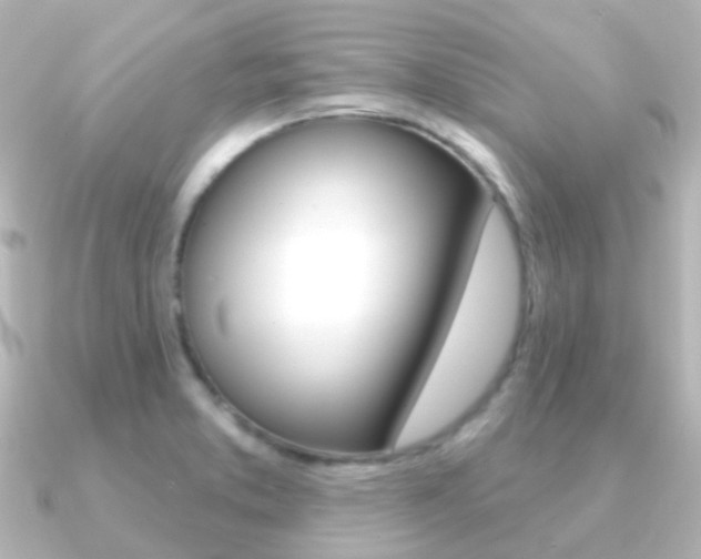 X0000091331373200708100954