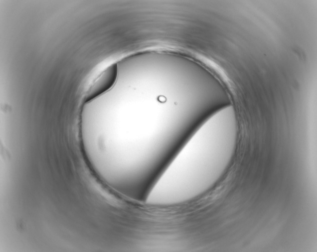 X0000091331375200708100954