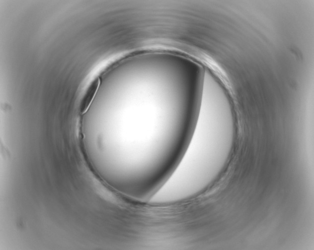 X0000091331376200708100954