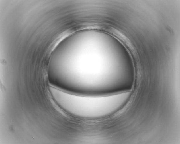 X0000091331377200708100954